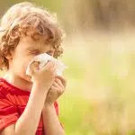Hay Fever - Causes, symptoms, and treatment